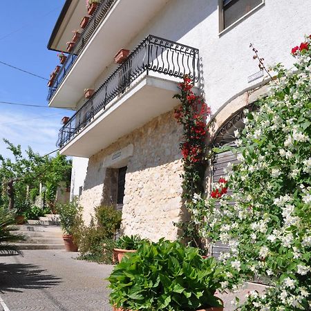 B&B La Palombara Giuliano di Roma Kültér fotó