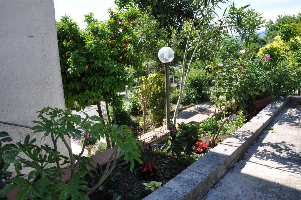 B&B La Palombara Giuliano di Roma Kültér fotó