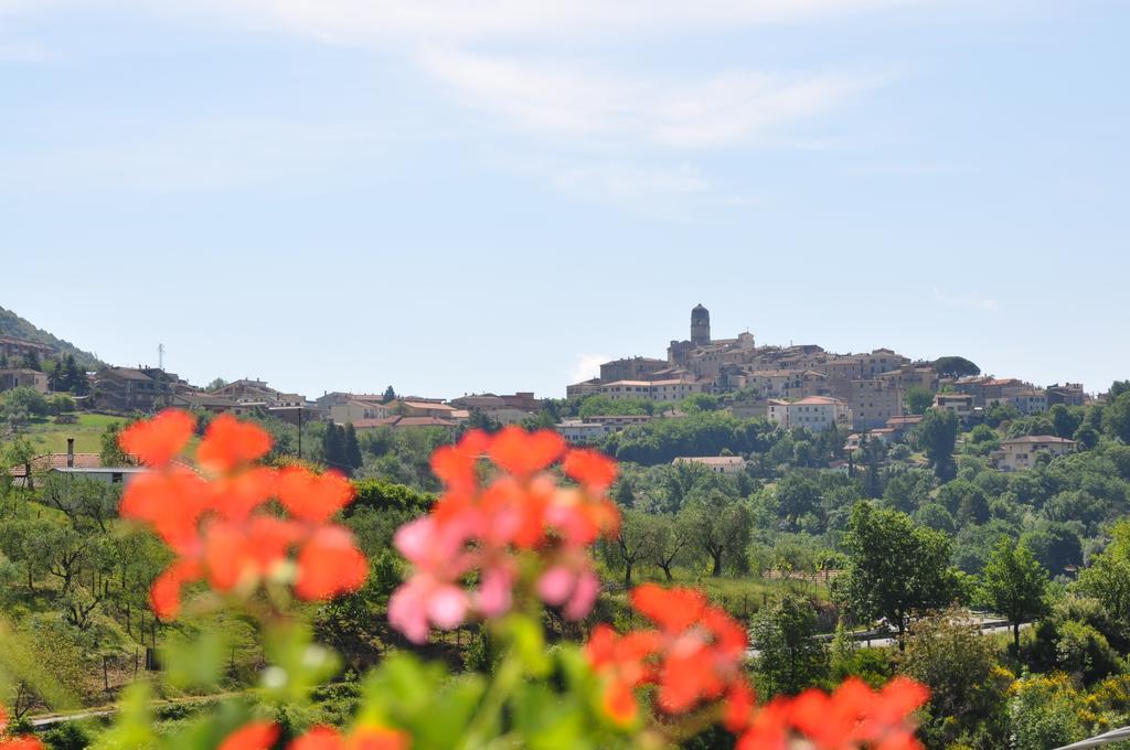 B&B La Palombara Giuliano di Roma Kültér fotó